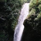 Darjeeling_2005 (15)