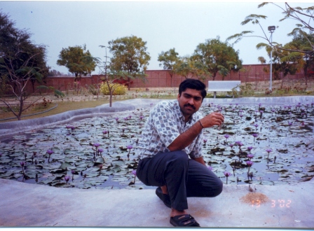 Jaipur1_Rajasthan_1990s