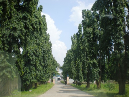 KorbaDistrict9_Chattisgarh_2008